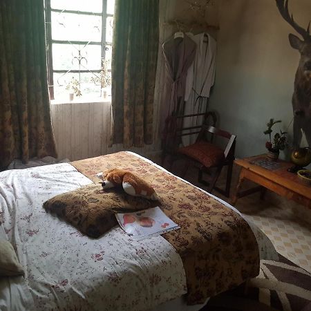 Sasana Motel And Guest House Bungoma Buitenkant foto