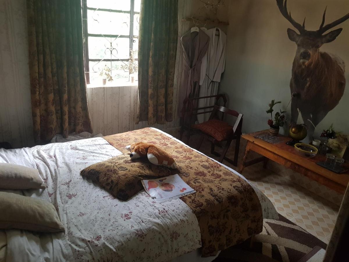 Sasana Motel And Guest House Bungoma Buitenkant foto