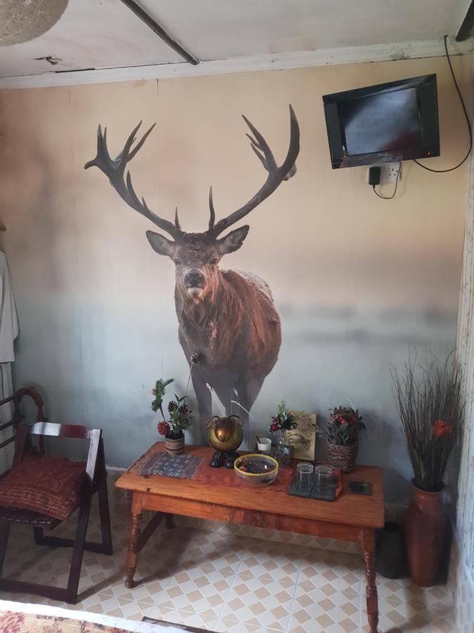 Sasana Motel And Guest House Bungoma Buitenkant foto